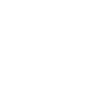 Cocktail icon